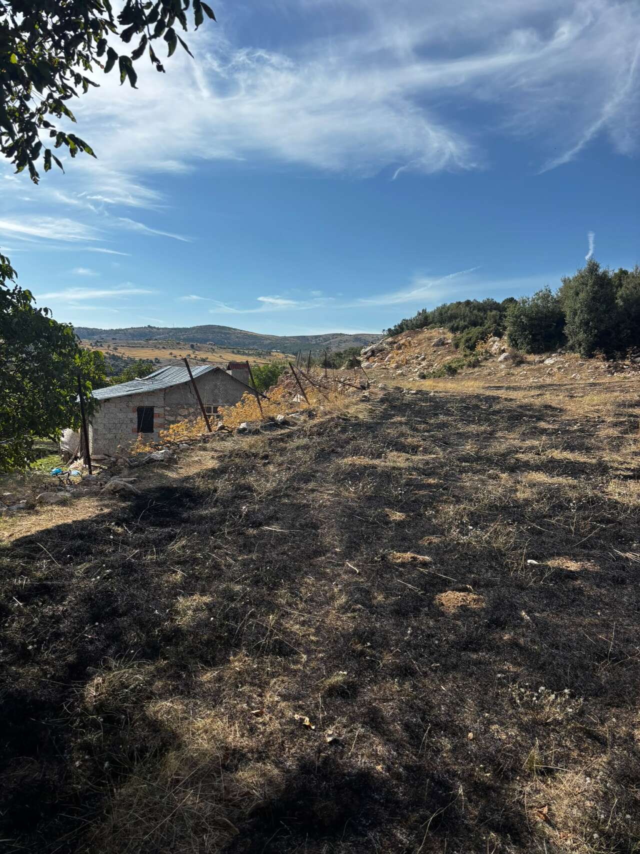 Muğla'da Zirai Arazide Yangın Çıktı 4